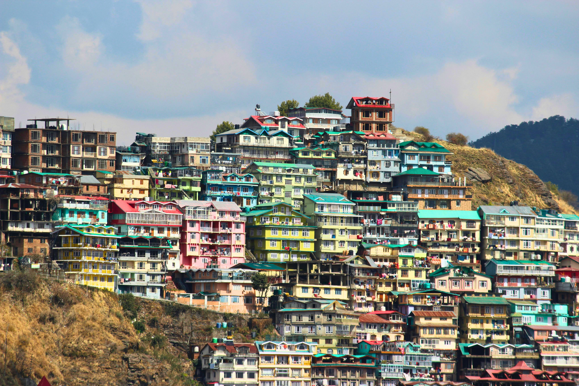 shimla (4).webp